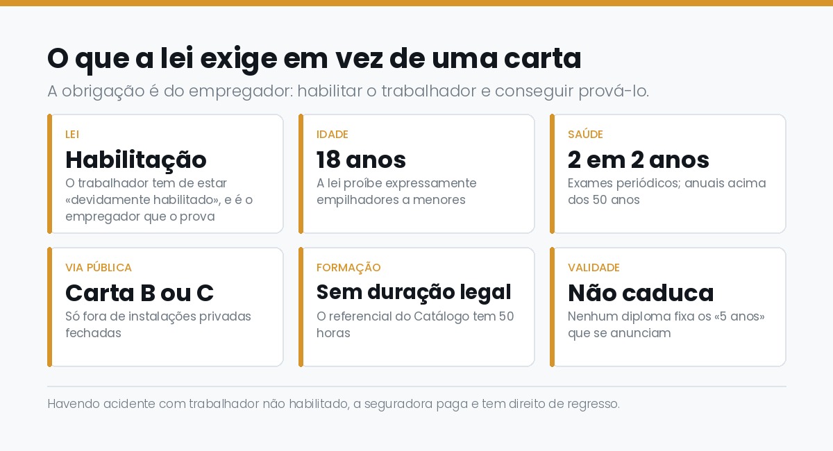 O que a lei exige em vez de uma carta de empilhador: habilitação pelo empregador, 18 anos e exames de saúde